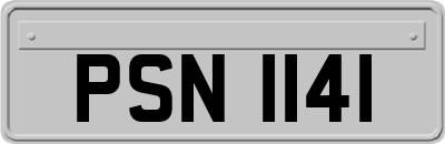 PSN1141