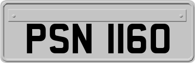 PSN1160