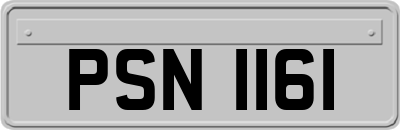 PSN1161