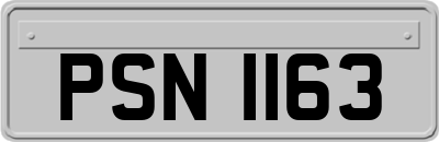 PSN1163