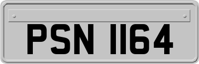PSN1164