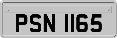 PSN1165