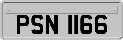 PSN1166