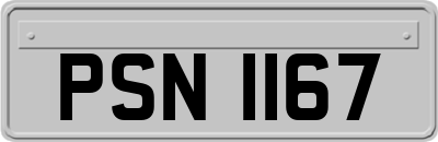 PSN1167