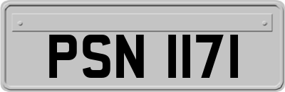 PSN1171