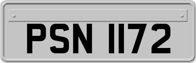PSN1172