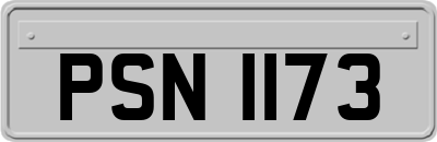 PSN1173
