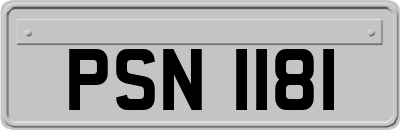 PSN1181