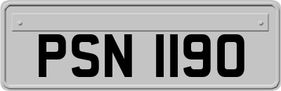 PSN1190