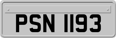 PSN1193