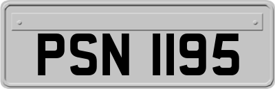 PSN1195