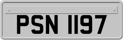 PSN1197