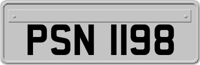 PSN1198