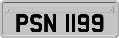 PSN1199