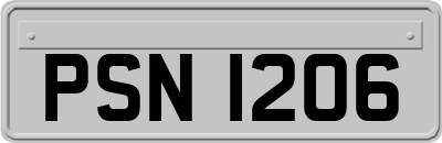 PSN1206