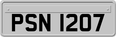 PSN1207
