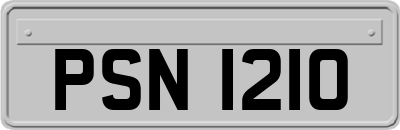 PSN1210