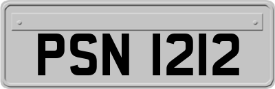 PSN1212