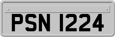 PSN1224