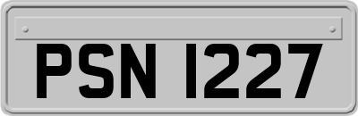 PSN1227