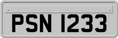 PSN1233