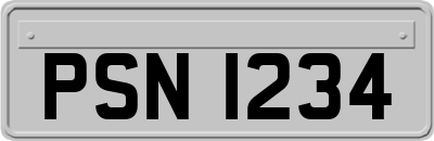 PSN1234