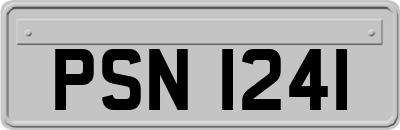 PSN1241