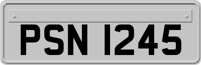 PSN1245
