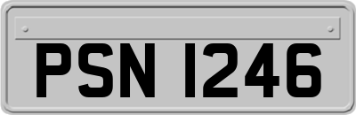 PSN1246