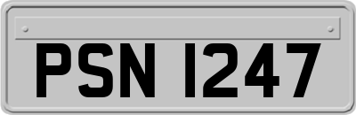 PSN1247