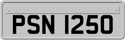 PSN1250