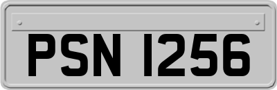 PSN1256