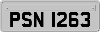 PSN1263