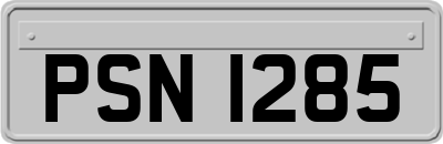PSN1285