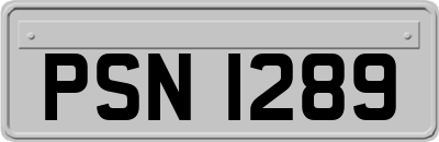 PSN1289