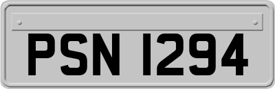 PSN1294