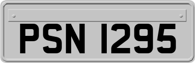 PSN1295