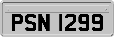 PSN1299