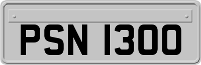 PSN1300