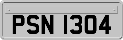 PSN1304