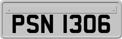 PSN1306