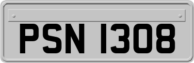 PSN1308