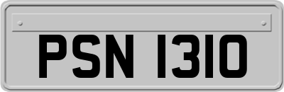 PSN1310