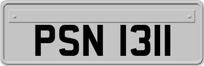 PSN1311
