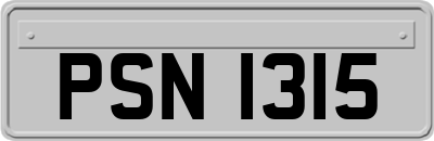 PSN1315