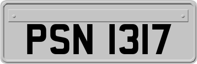 PSN1317