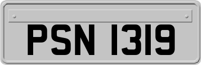 PSN1319