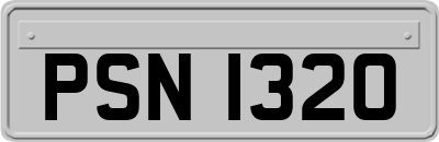 PSN1320