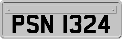 PSN1324