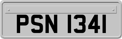 PSN1341